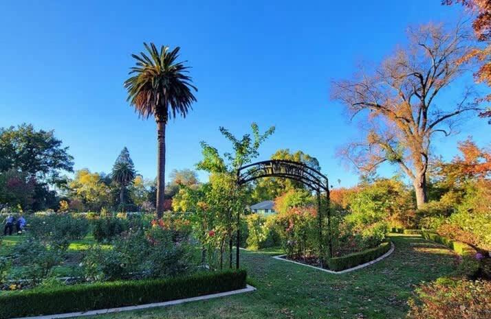 Cozy Upstairs Near Downtown And The River Apartment Sacramento